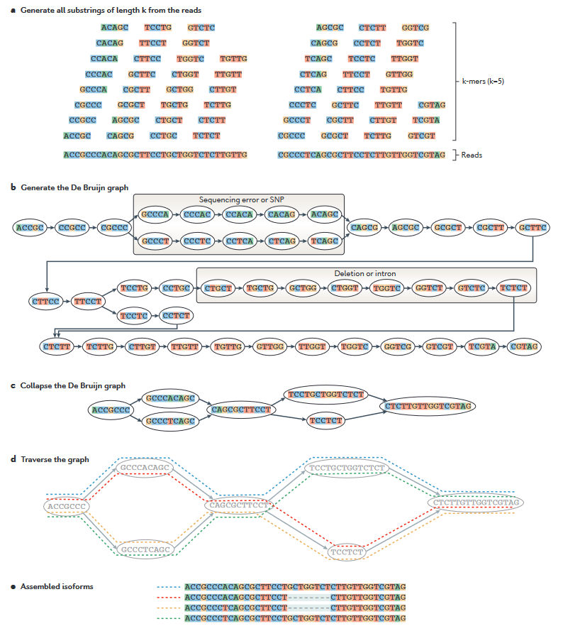 Transcriptome Data Analysis In Non Model Organisms 5 De Novo Assembly With Trinity 8582